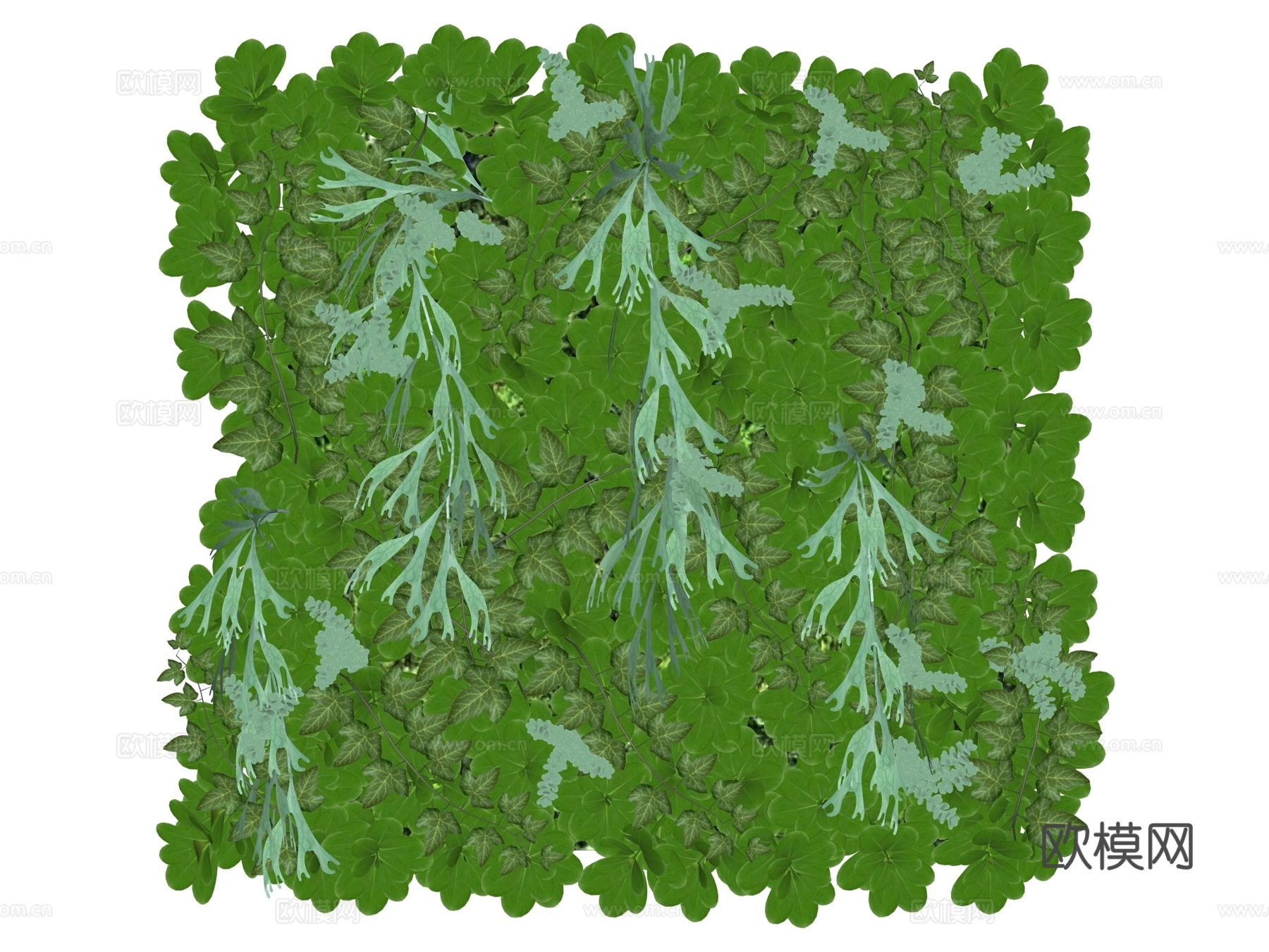 绿植墙 植生墙 绿墙su模型下载（渲染图2）