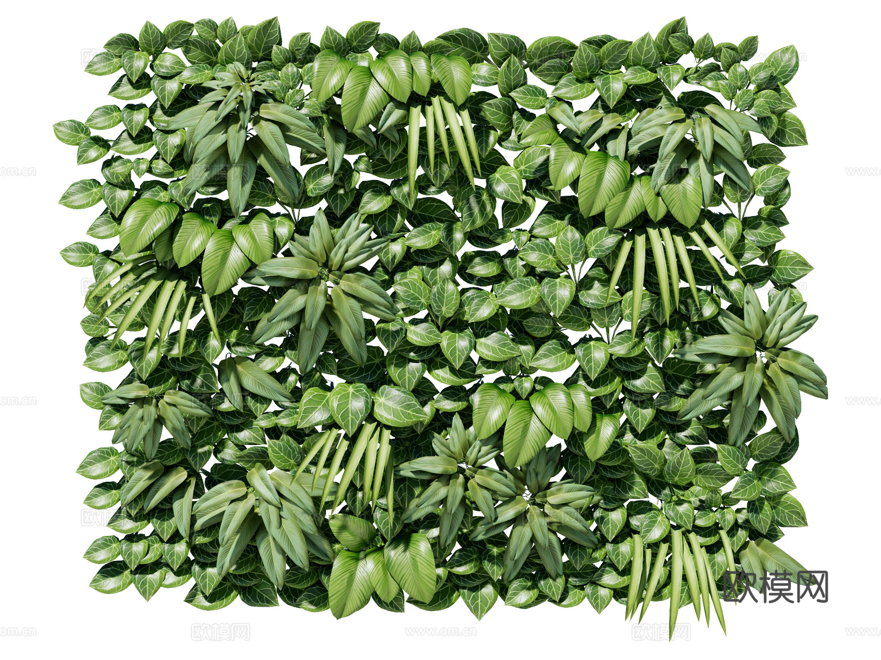绿植墙 植生墙 绿墙su模型下载（渲染图1）