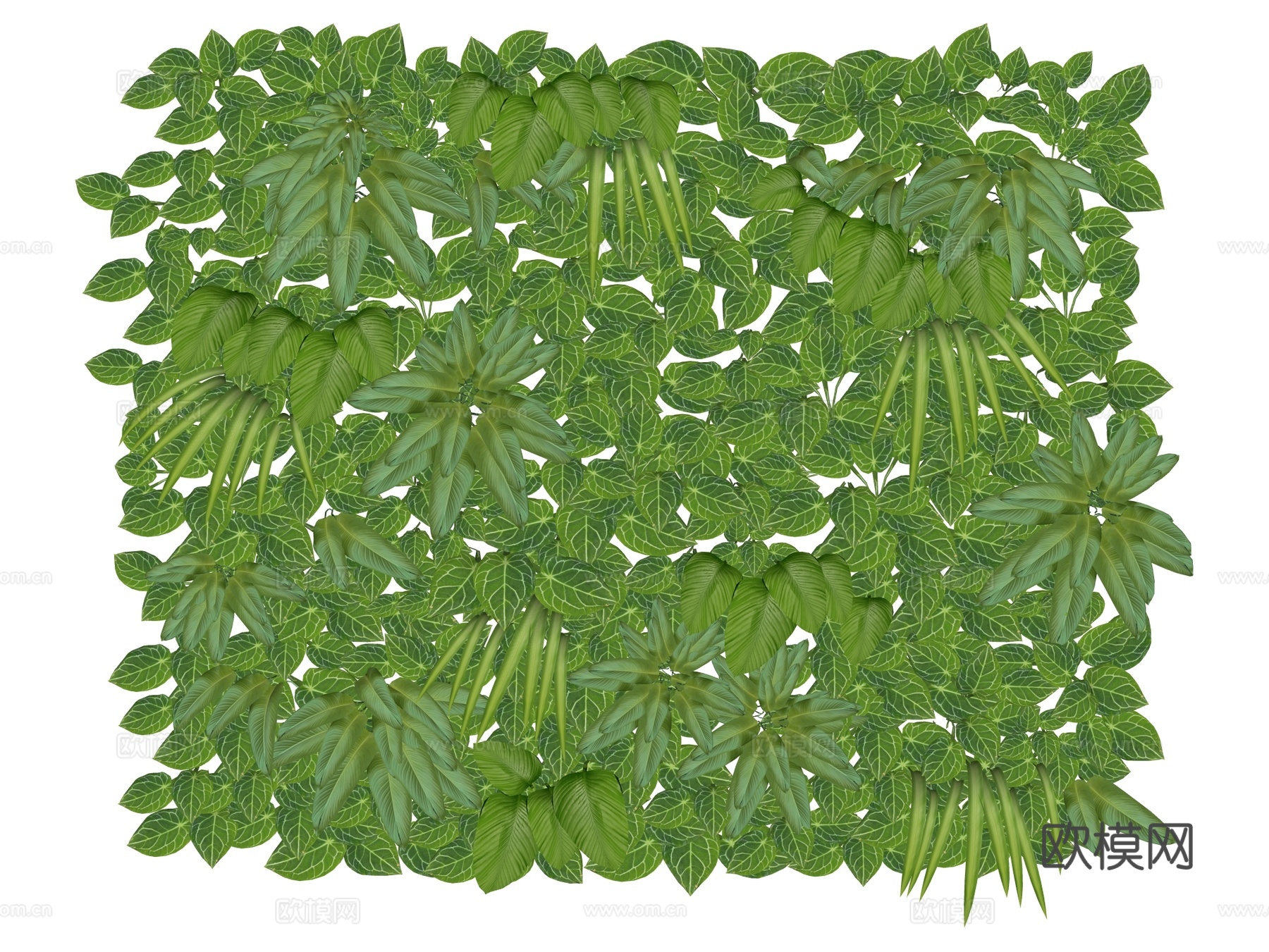绿植墙 植生墙 绿墙su模型下载（渲染图2）