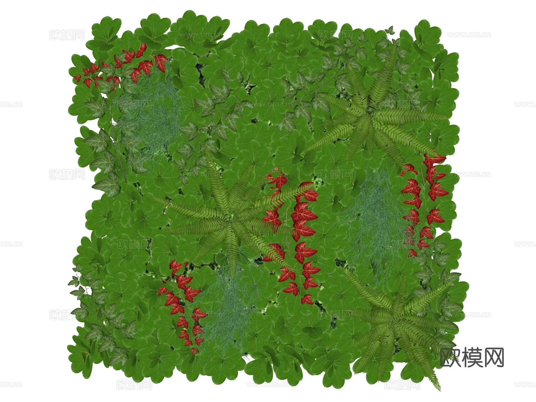 绿植墙 植生墙 绿墙su模型下载（渲染图2）