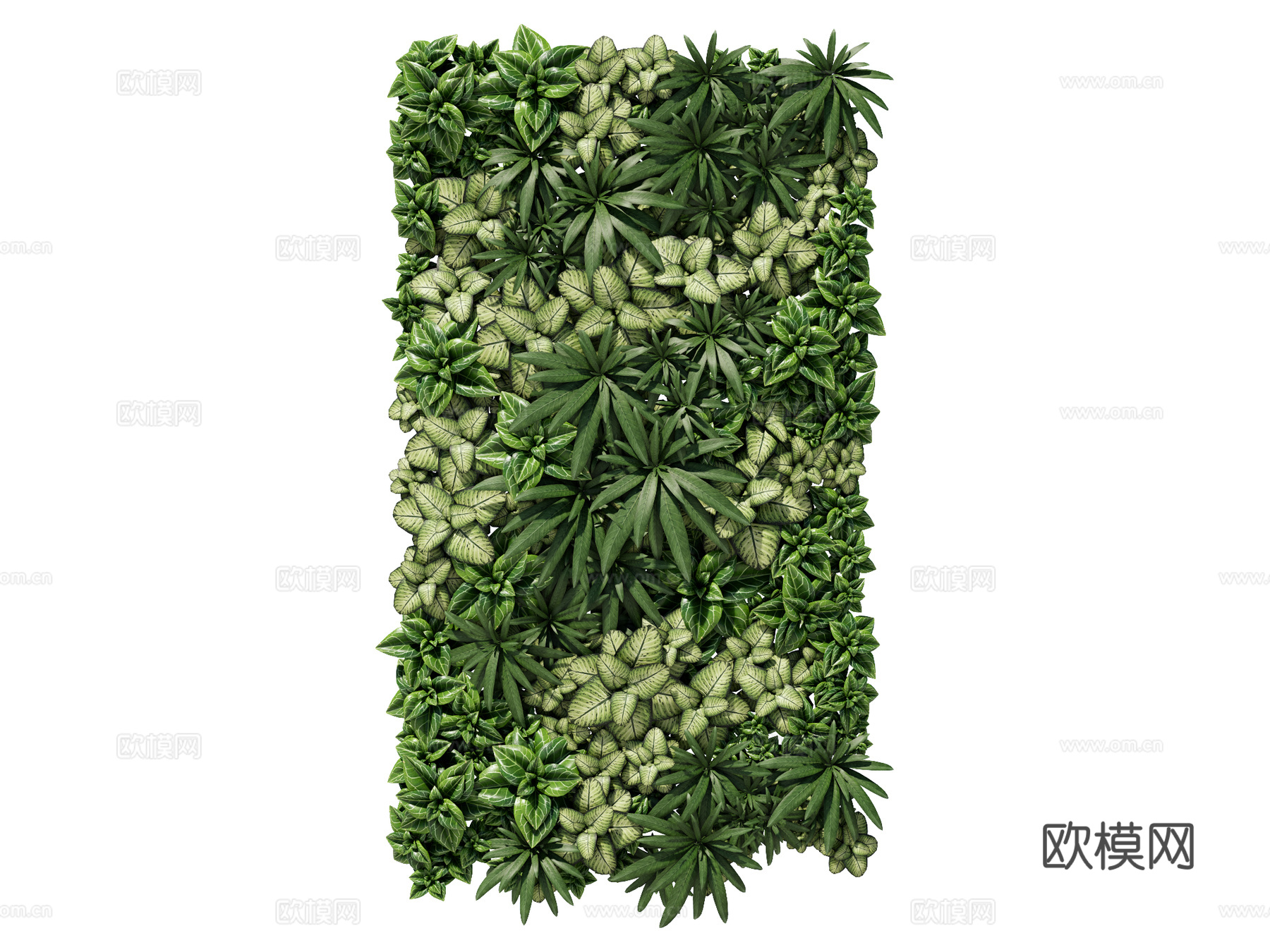 绿植墙 植生墙 绿墙su模型下载（渲染图1）