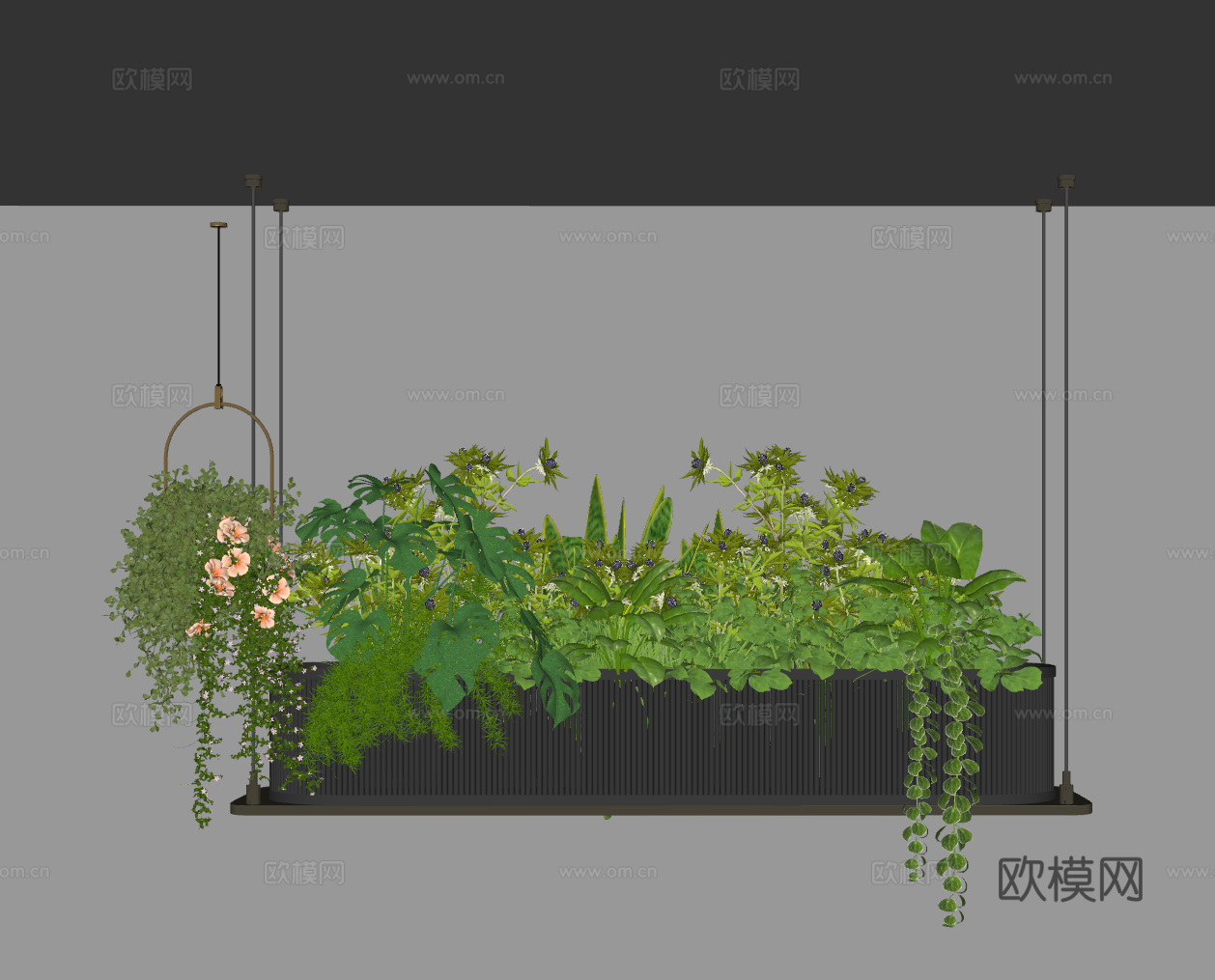 吊灯花箱 花箱 垂植物 植物花箱 植物吊灯 吊篮绿植 植物吊su模型下载（渲染图2）