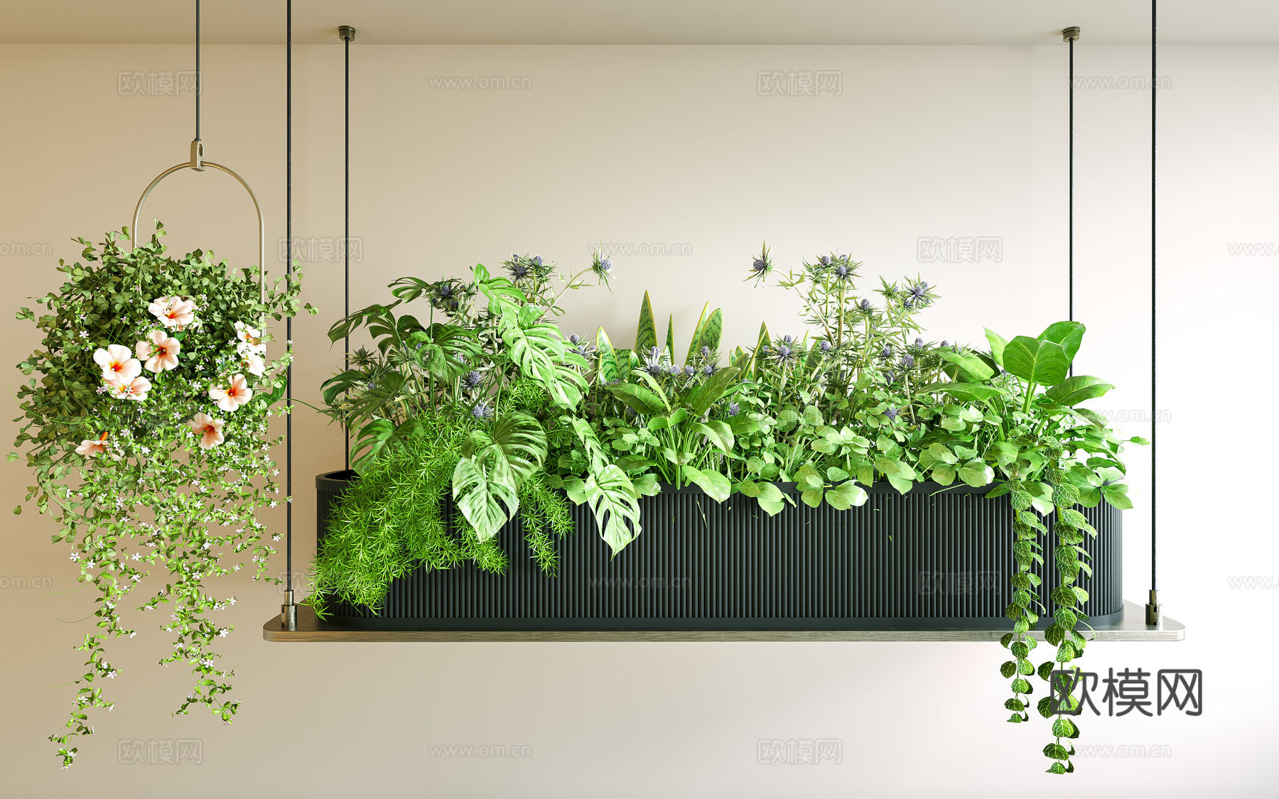 吊灯花箱 花箱 垂植物 植物花箱 植物吊灯 吊篮绿植 植物吊su模型下载（渲染图1）