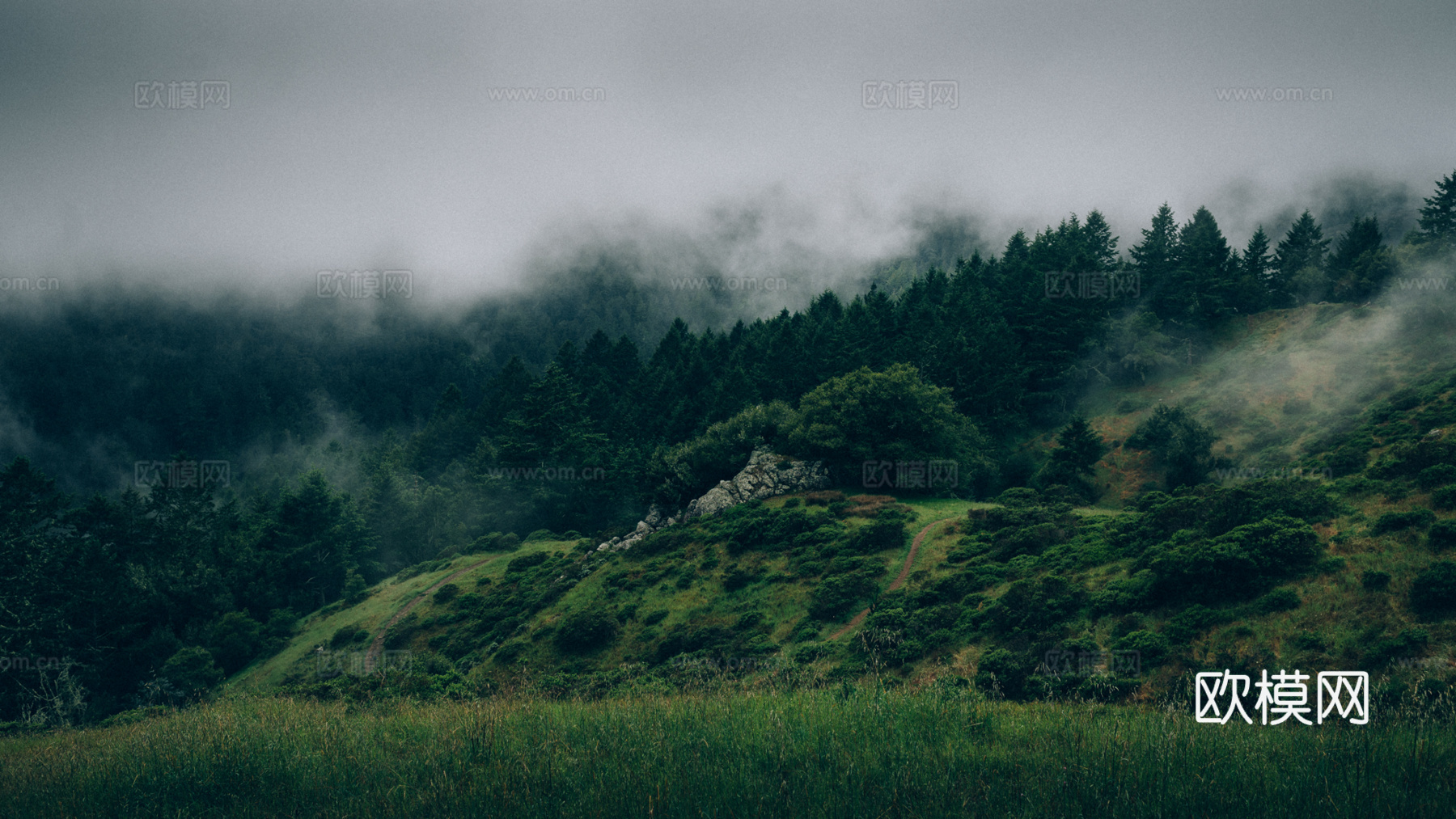 超清山脉森林清晨贴图下载