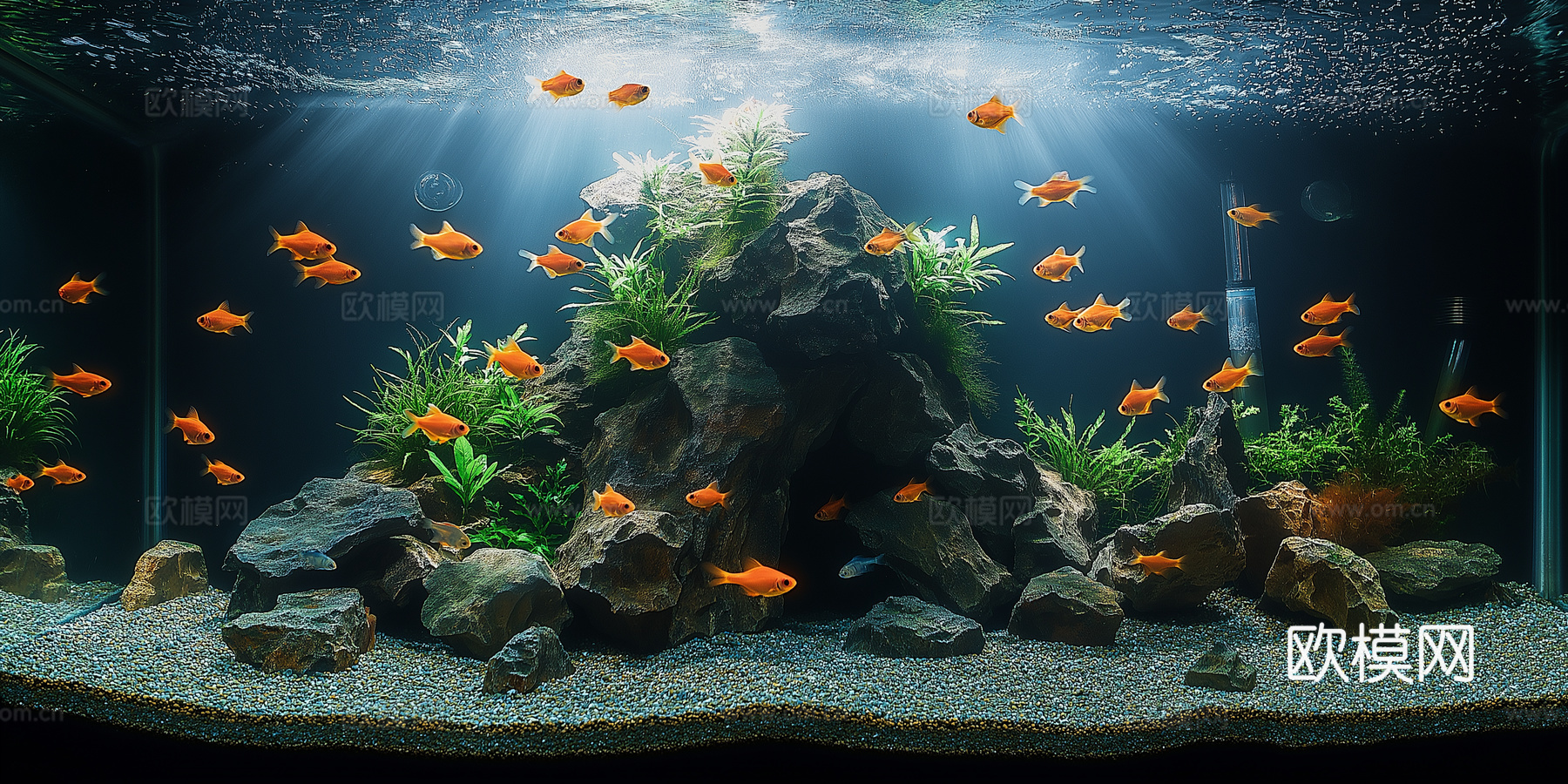 高清鱼缸贴图下载