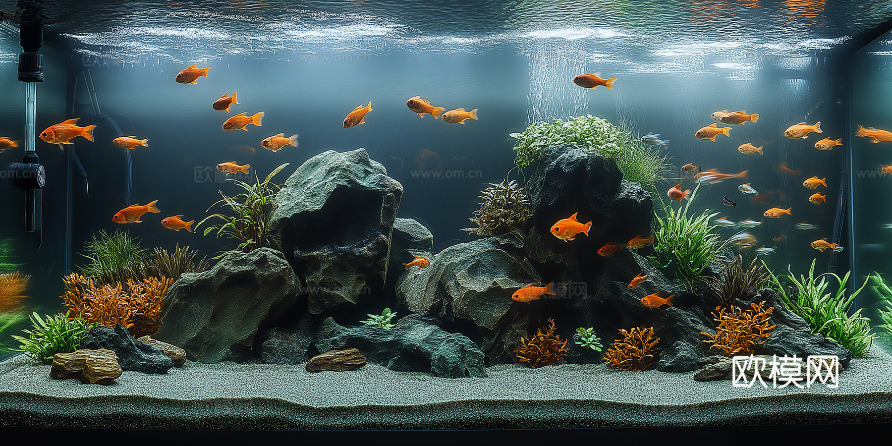 高清鱼缸贴图下载