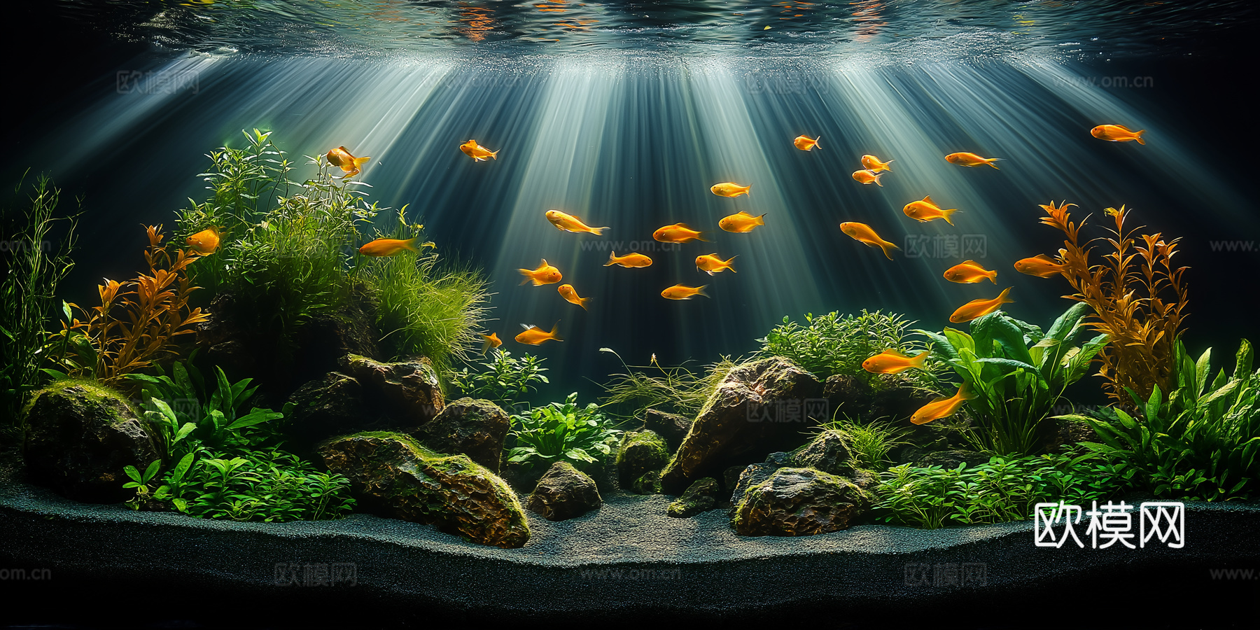 高清鱼缸贴图下载