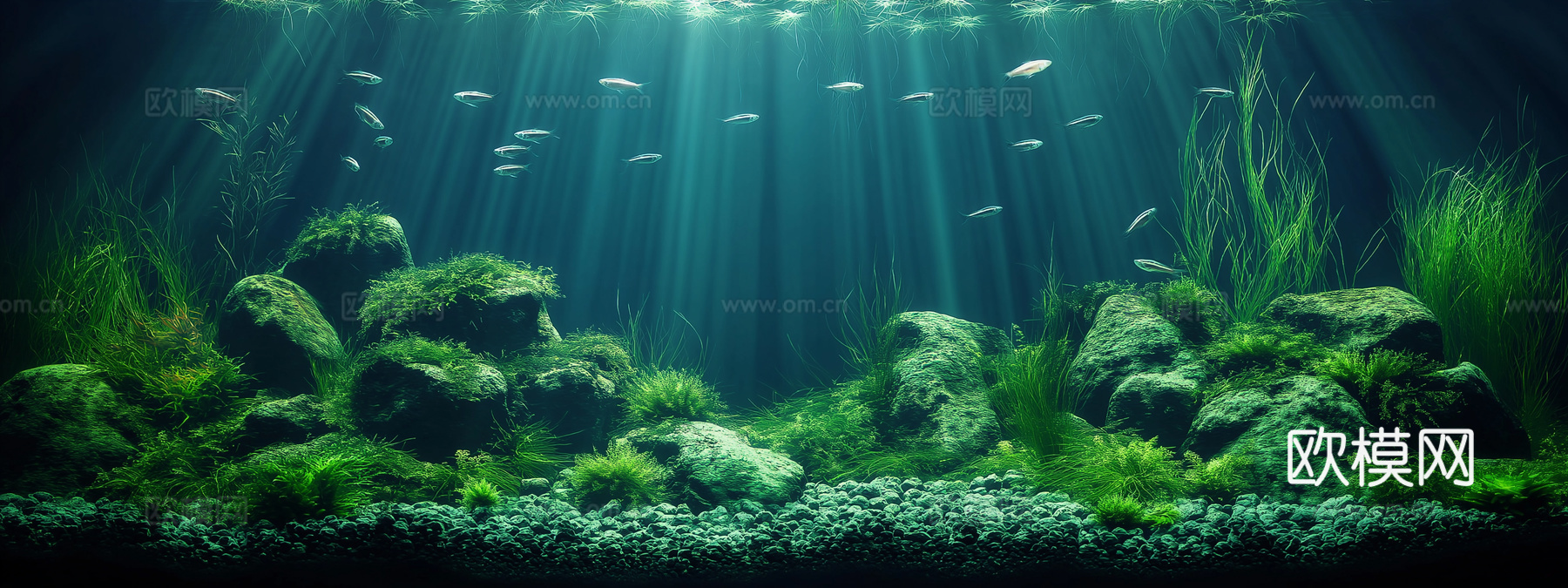 高清鱼缸贴图下载