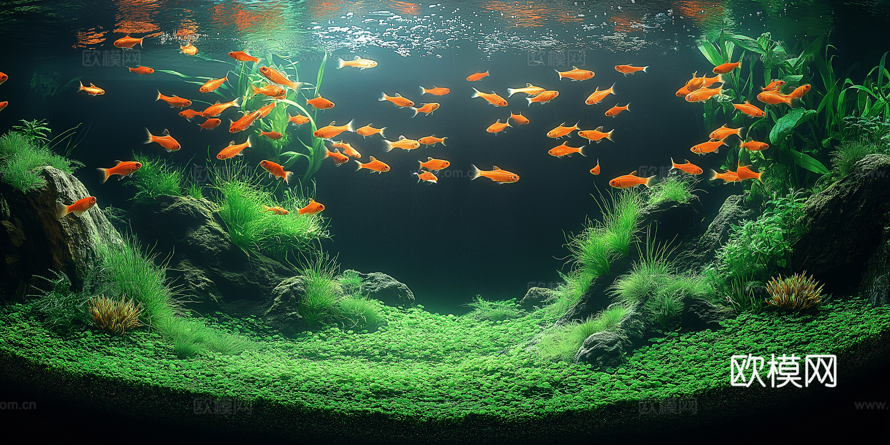 高清鱼缸贴图下载
