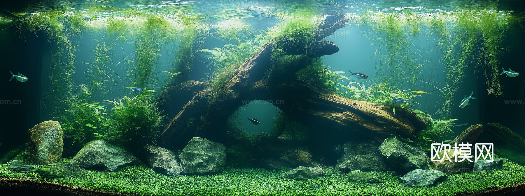 高清鱼缸贴图下载
