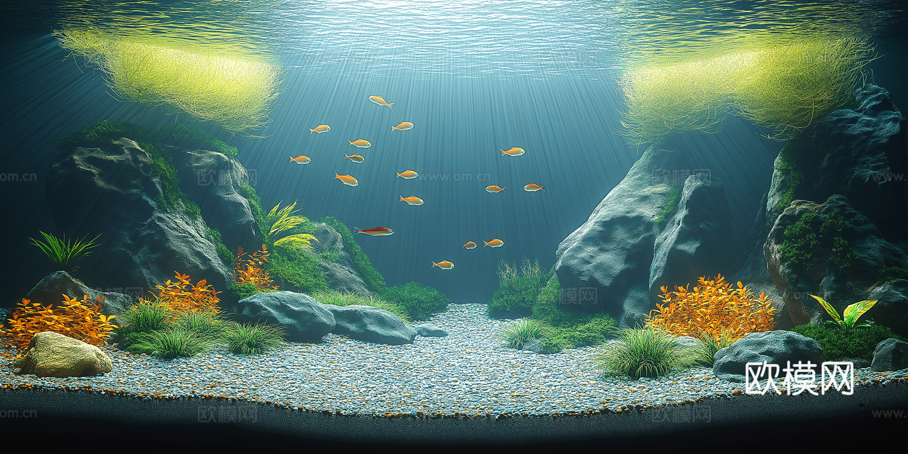 高清鱼缸贴图下载