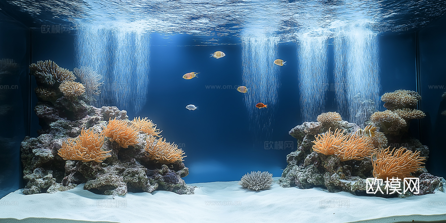 高清鱼缸贴图下载