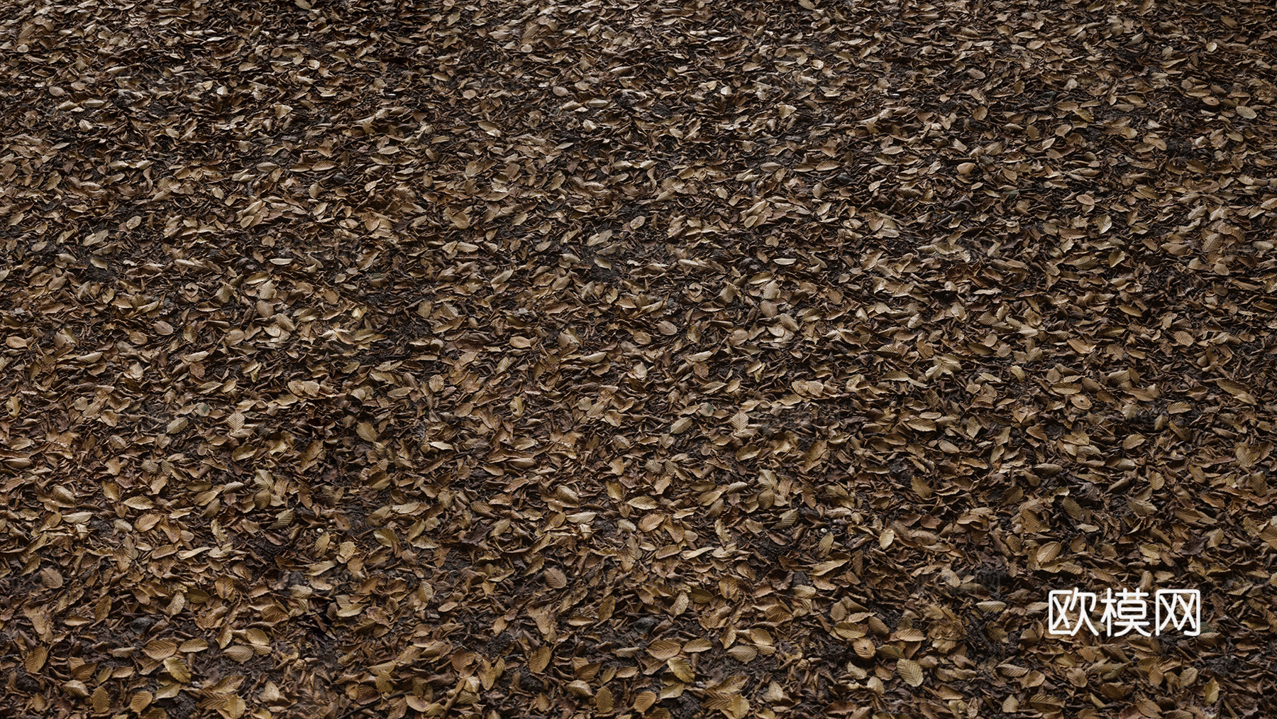 草地 草皮 落叶 泥土下载