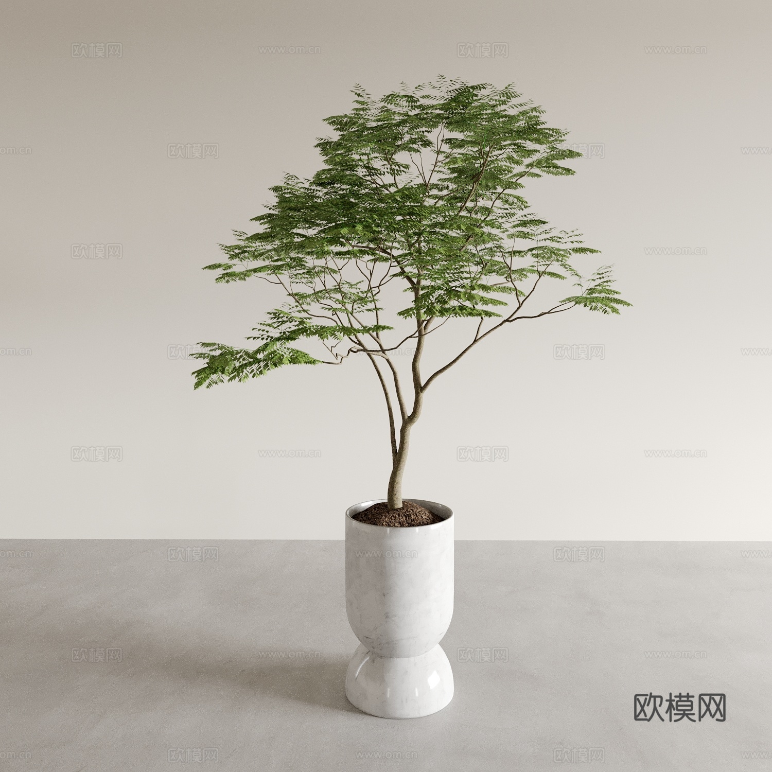 现代绿植盆栽 花盆3d模型