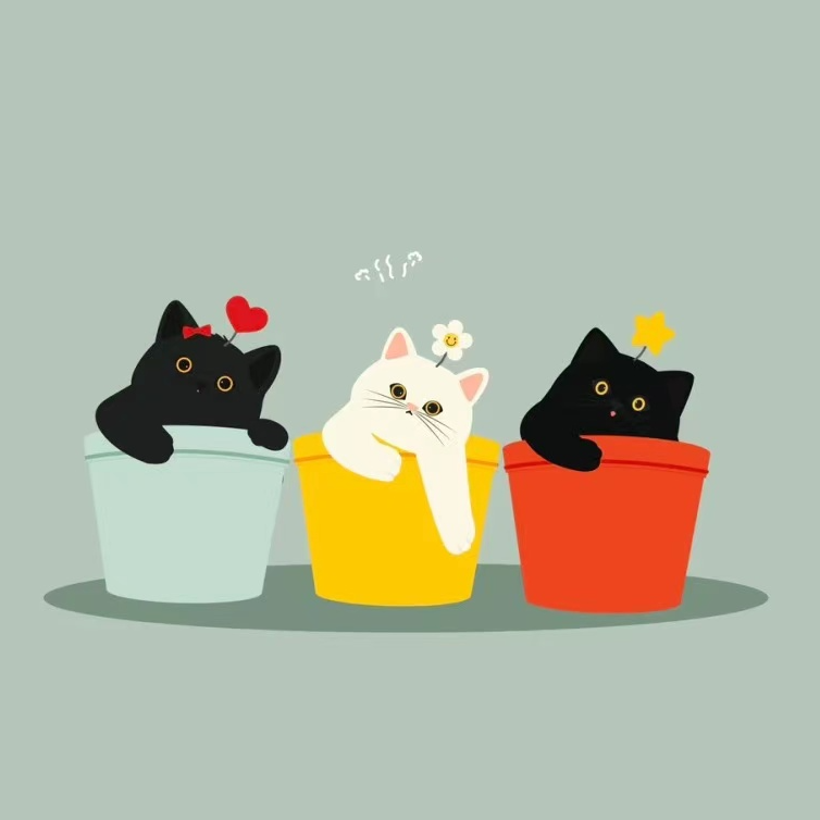 全景图-设计