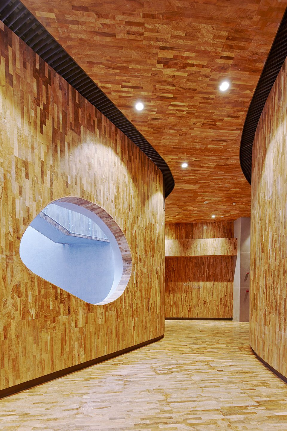 设计上采用了两种截然不同效果的立面材料——传统的剧院采用了传统的